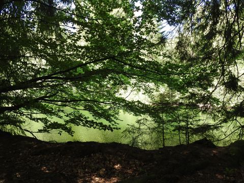 Foto 41